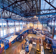 david pisnoy oIm9s3llywE unsplash (1)